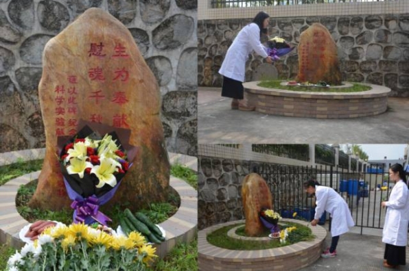 1741240313921708.jpg 240722020949_608070127_596x396.jpg