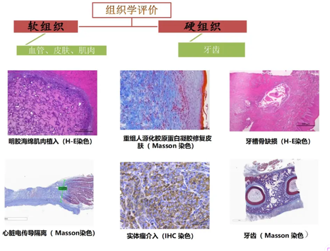 1743490123718051.png 1743490123718051.png