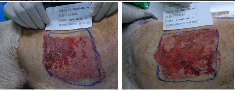 1743664507256703.png 2.png