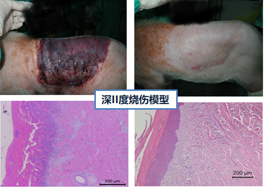 1743664521196404.png 3.png