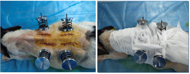 1743664547809354.png 5.png