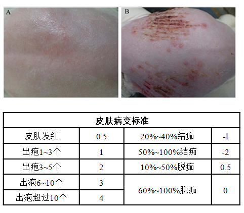 1743664567133965.png 6.png