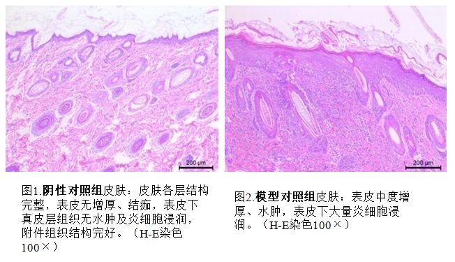 1743664616741132.png 7.png