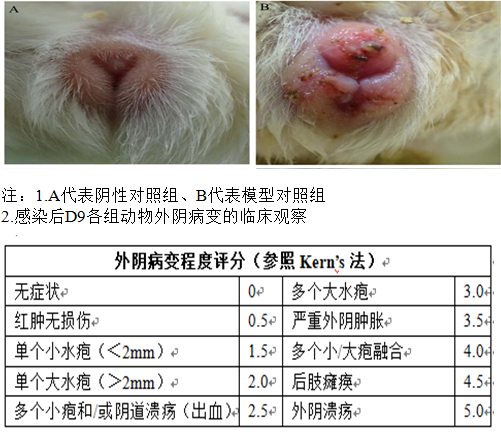 1743664628515736.png 8.png