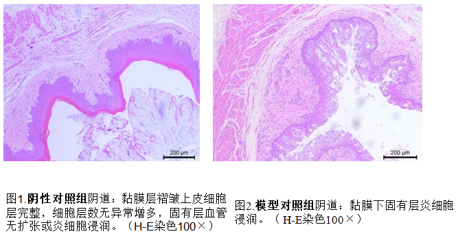 1743664657858189.png 9.png